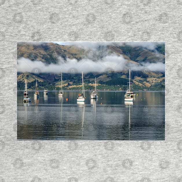 Akaroa Harbour by fotoWerner